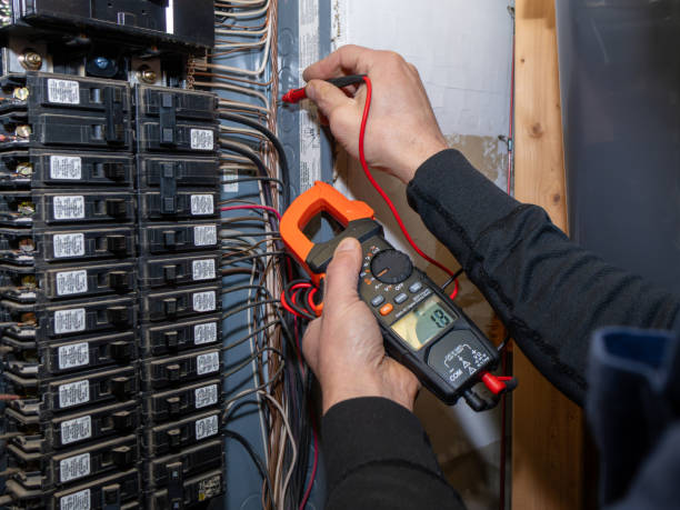 Best Electrical Troubleshooting Services  in Whitehall, MI